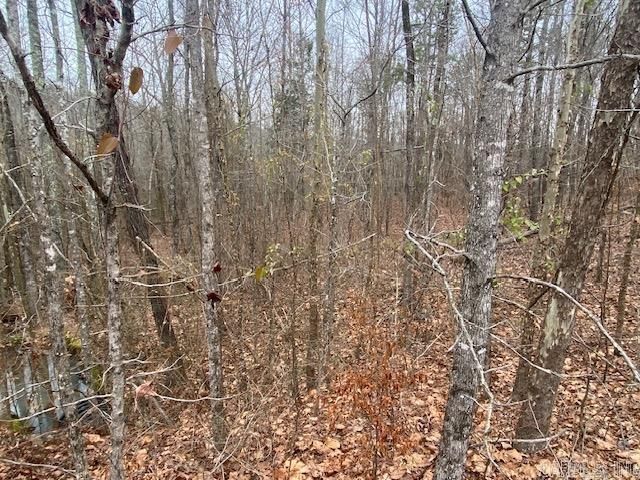Lot 77 Mustang Dr #SEE, Clinton, AR 72031