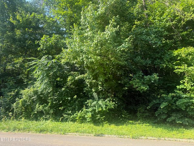 7021 Shalidar Dr, Knoxville, TN 37921
