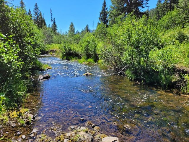 Nhn Mill Creek Rd, Frenchtown, MT 59834