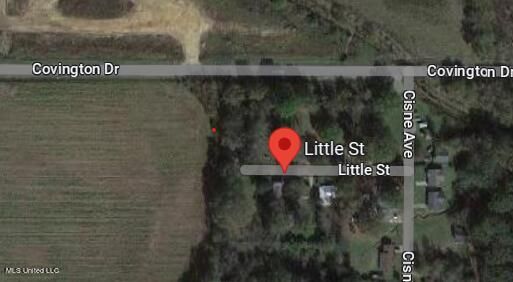 Little St, Canton, MS 39046