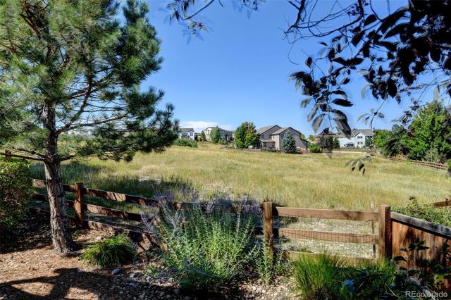 3325 Falling Star Place, Castle Rock, CO 80108