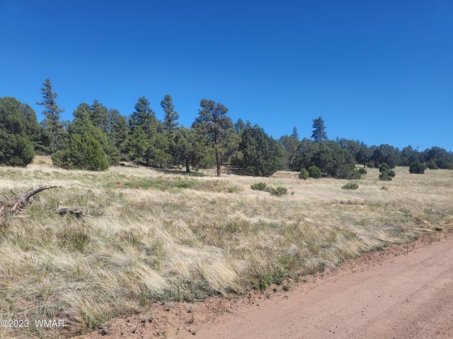Capps Ranch Rd, Pinedale, AZ 85934