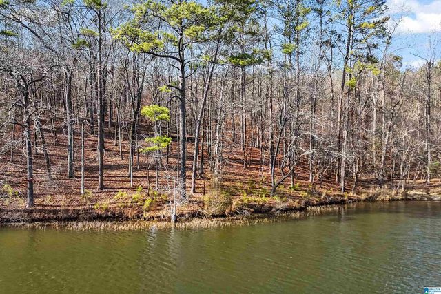 5 Big Y Cove Loop, Rockford, AL 35136