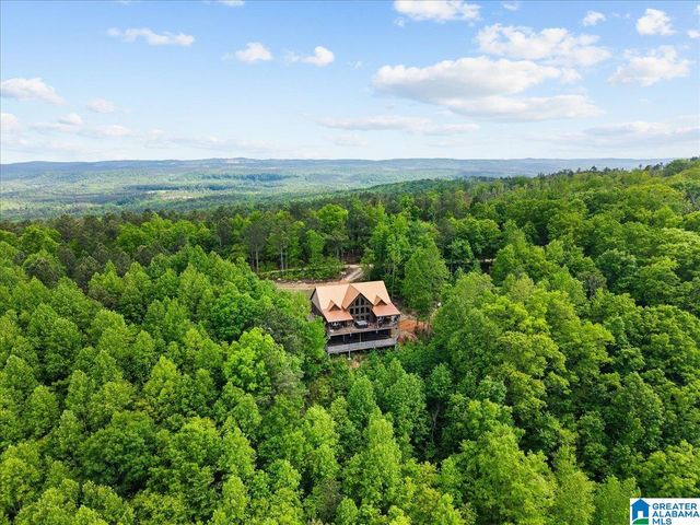 1190 Skyway Mtwy, Lineville, AL 36266