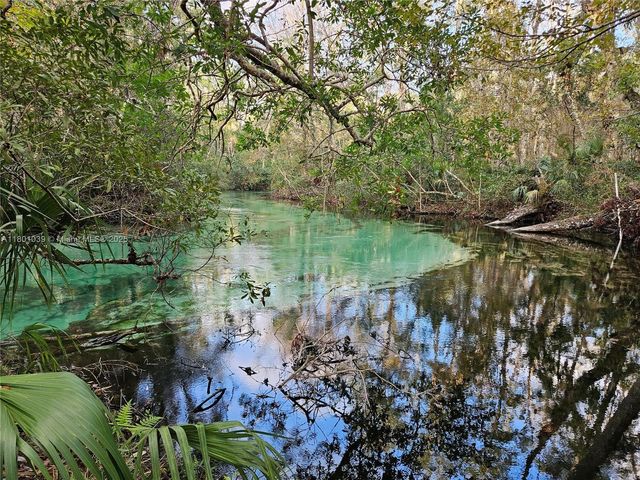 7505 Jomel Dr, Weeki Wachee, FL 34607