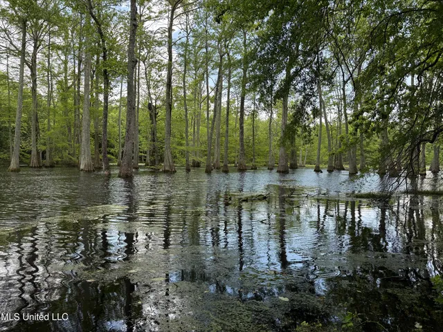County Road 550, Minter City, MS 38944