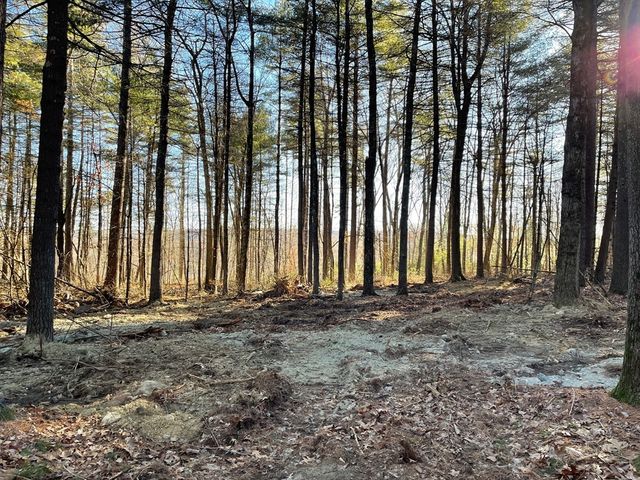 Lot 38 38b Michael Shrs, Belchertown, MA 01007