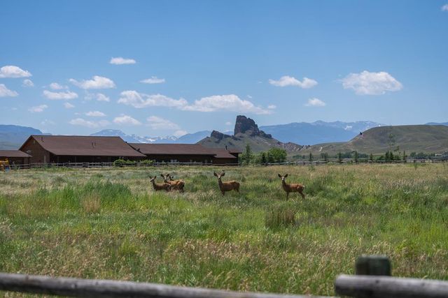 39 Brown Mountain Rd, Cody, WY 82414