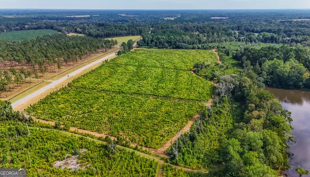 7501 S  111th Hwy, Cairo, GA 39828