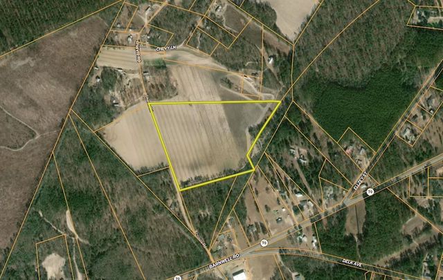 Chavis Rd #WP001, Blackville, SC 29817