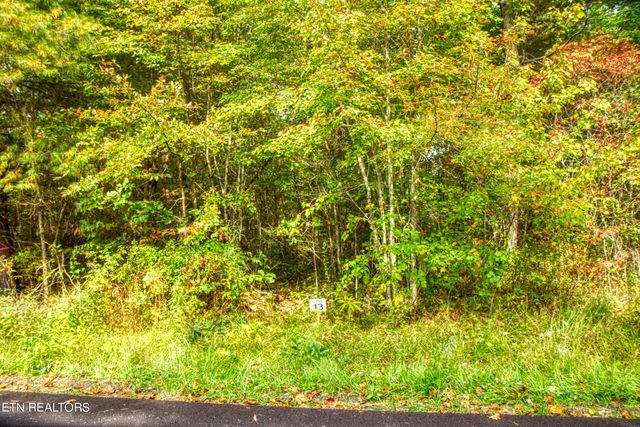 Lot 13 Old Mount Helen Rd, Allardt, TN 38504