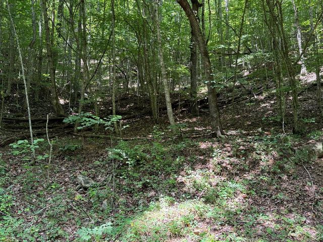 Saldeer Mountain Rd, Franklin, NC 28734