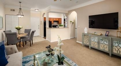 Aluna Largo Apartments Clearwater Fl Trulia