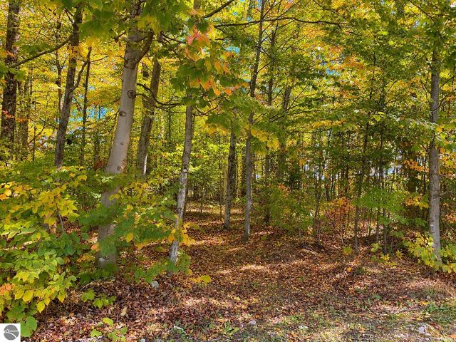3930 Spruceview Ln, Mackinac Island, MI 49757