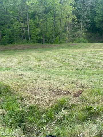 County Line Rd, Saint Marys, WV 26170