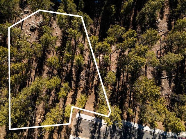 108 (Lot 134) Avalanche Lily Drive, Durango, CO 81301
