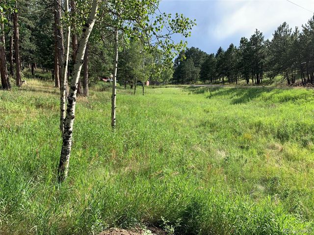 5680 Cliff Road  Lot 124 And 125, Evergreen, CO 80439
