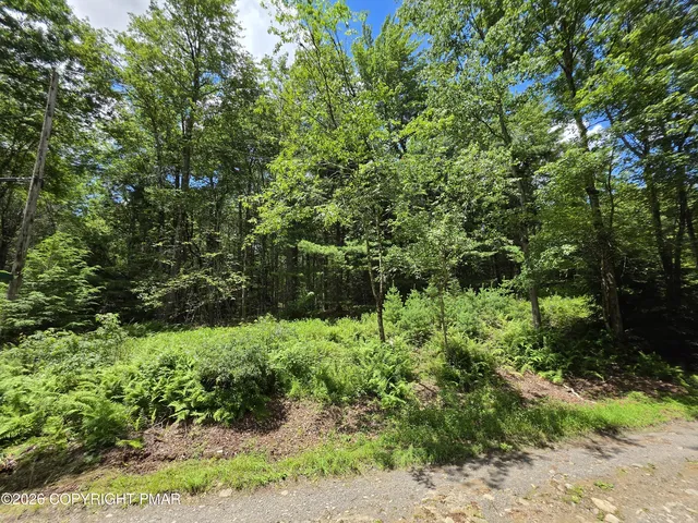 Lot 17 Ten Zoe Rd, Blakeslee, PA 18610