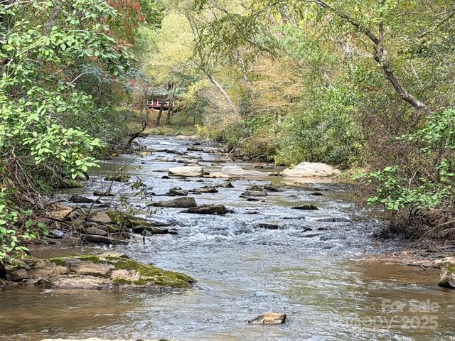 ANTIOCH RD, LAKE LURE, NC 28746