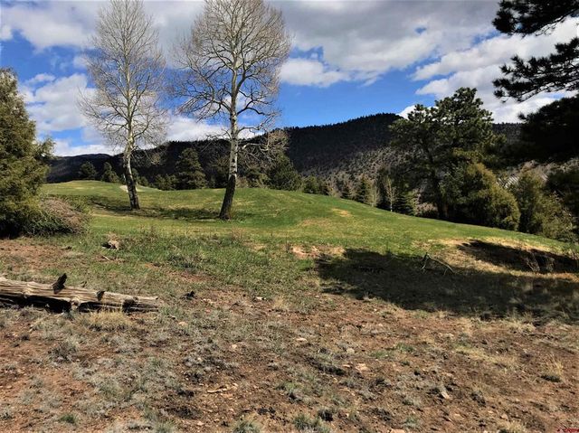 51 Mojave Ct, South Fork, CO 81154