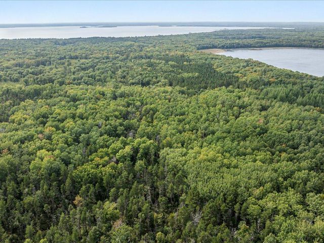 PARCEL N  Horseshoe Lake Rd #F, Merrifield, MN 56465