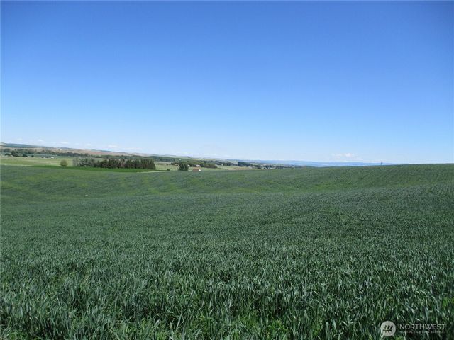 4285 Detour Road, Touchet, WA 99360