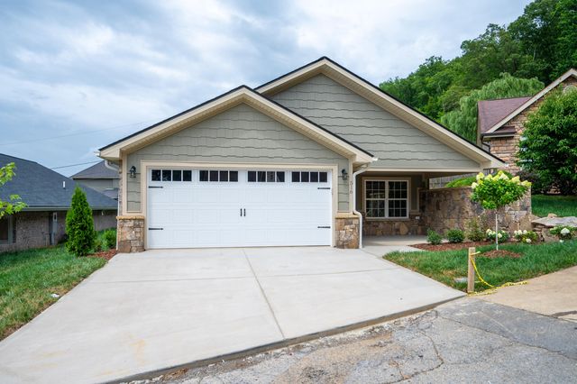 516 Hickory Tree Private Dr, Kingsport, TN 37663