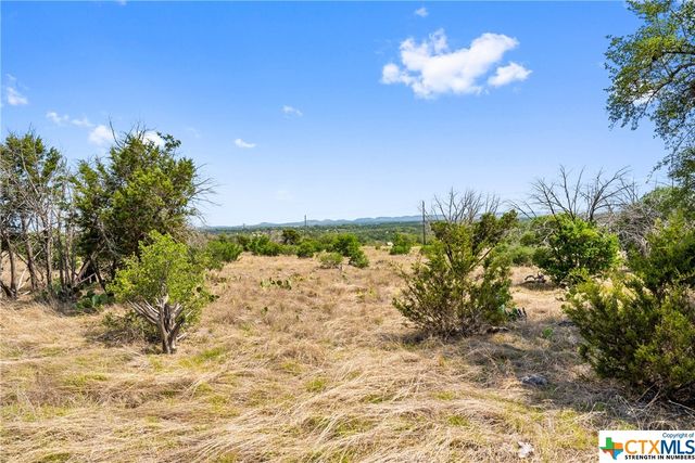 650 One River Point Dr, Johnson City, TX 78636