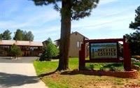 578 Lakeside Dr   #10-1-1, Pagosa Springs, CO 81147