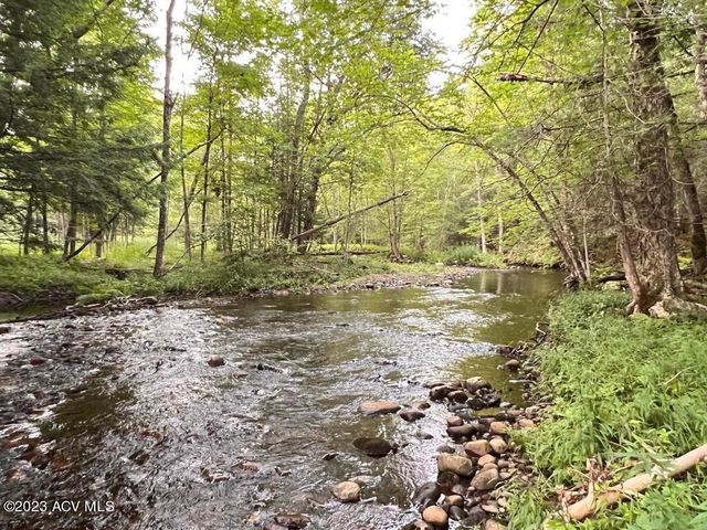 Cheney Pond Rd, Olmstedville, NY 12857