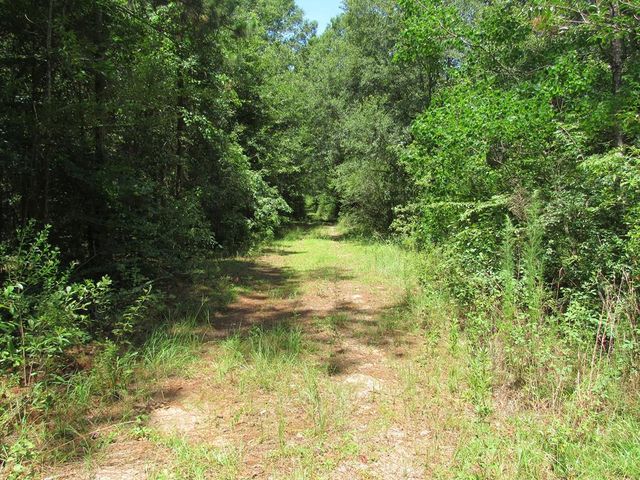 McGinty Rd, Moultrie, GA 31768