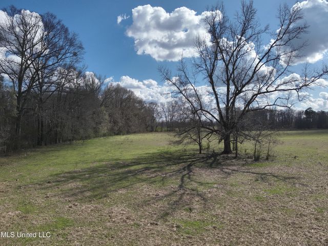 5 Reed Town Rd, Utica, MS 39175