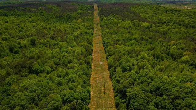 County Road 200, Pittsboro, MS 38951