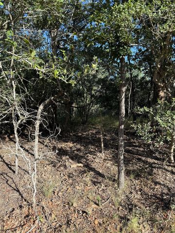 152 Helemano Dr, Bastrop, TX 78602