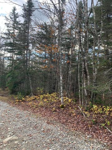 Lot 2-20 Yellow Birch Road, Whiting, ME 04691