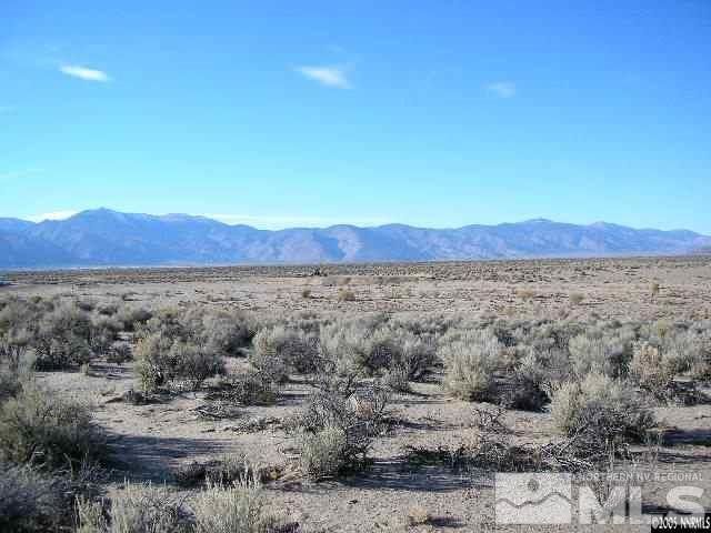 325 Ludwig Ln, Smith Valley, NV 89430