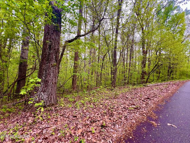 Lot 71&72 Polly Mountain Rd, Madisonville, TN 37354