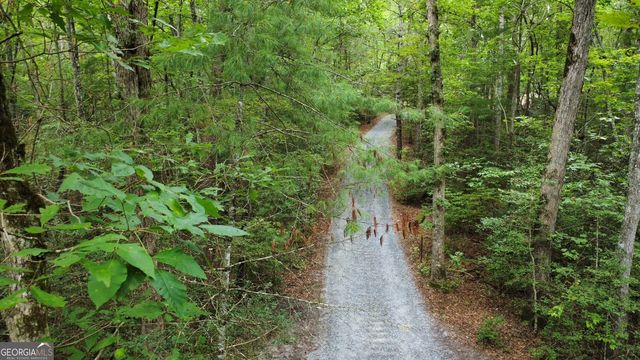 Highway 60, Mineral Bluff, GA 30559