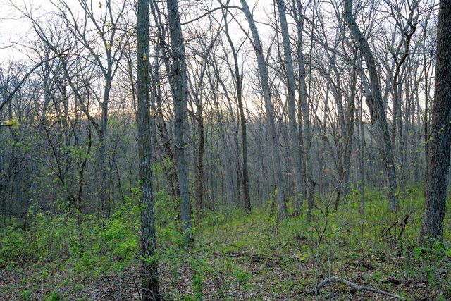 50 County Road 9, Arbela, MO 63432