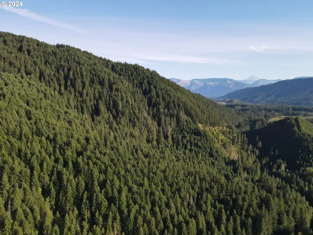 Cedar Creek Rd, Carson, WA 98610