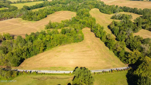 Tract 3 Hearn Rd, Greenfield, TN 38230