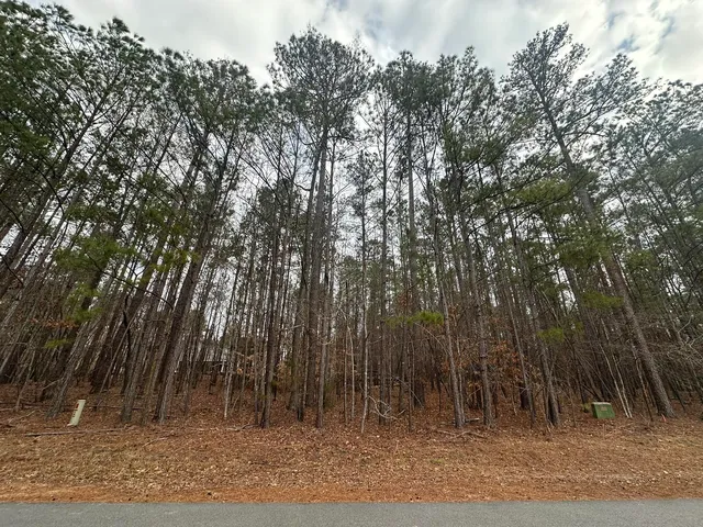 1418 B 14 #18, Mc Cormick, SC 29835