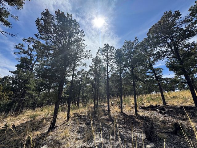 25 Birds Of A Feather, Pecos, NM 87552