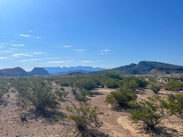 Township Road 2082 South County Rd, Terlingua, TX 79852