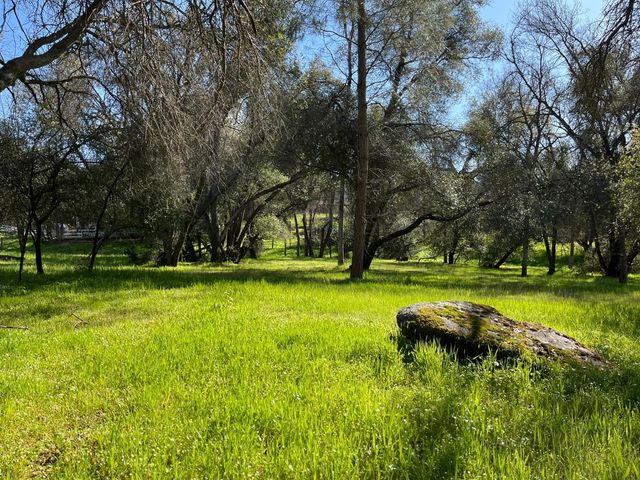 120 Sioux Rd, Coarsegold, CA 93614