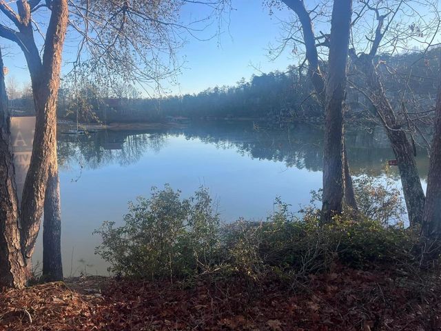 Lot 91 Sipsey Pike, Double Springs, AL 35553