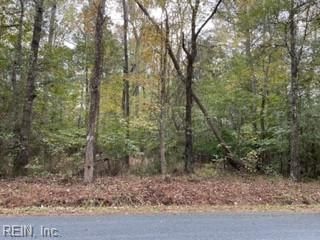 Neal Parker Rd, Withams, VA 23488