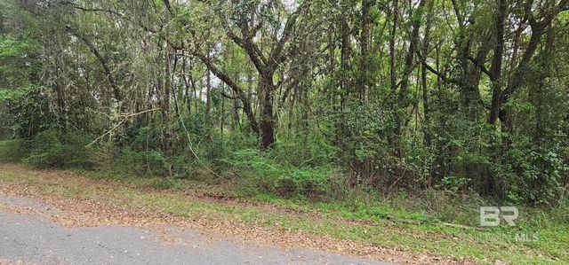 Mill House Dr N, Mobile, AL 36619