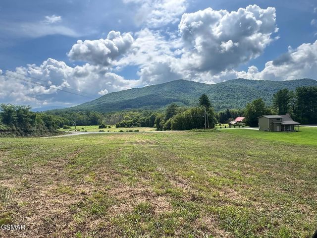 5420 Cocke County Line Rd #1, Cosby, TN 37722