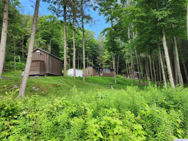 447 Woods Rd, Middleburgh, NY 12122